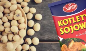Jak przygotować kotlety sojowe, które zachwycą smakiem i prostotą