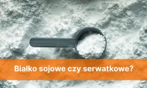 Białko sojowe czy serwatkowe – które wybrać dla lepszej formy?