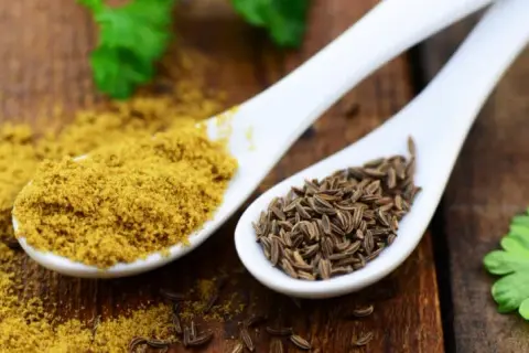 Jak zastąpić przyprawę garam masala i nie stracić smaku potraw