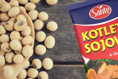 Jak przygotować kotlety sojowe, które zachwycą smakiem i prostotą