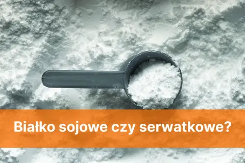 Białko sojowe czy serwatkowe – które wybrać dla lepszej formy?