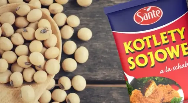 Jak przygotować kotlety sojowe, które zachwycą smakiem i prostotą