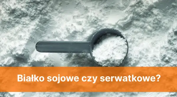 Białko sojowe czy serwatkowe – które wybrać dla lepszej formy?