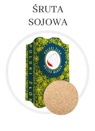Ile białka ma śruta sojowa? Odkryj jej niezwykłe właściwości!